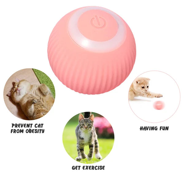 🎅Early Xmas Sales - 50% OFF🎄Smart Cat Toys Automatic Rolling Ball