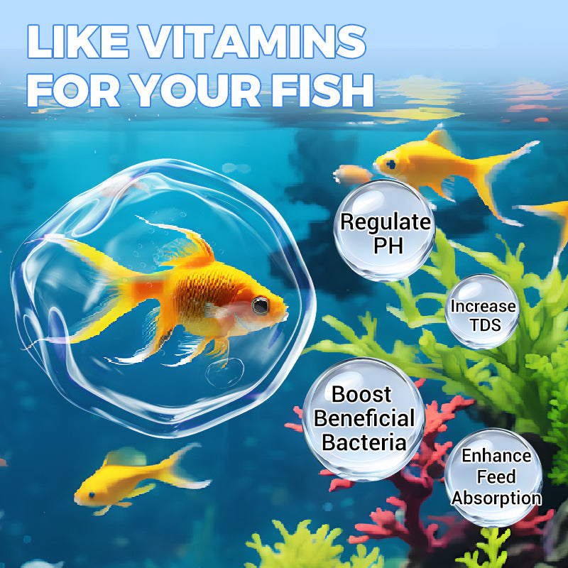 🔥BUY 1 GET 1 FREE🔥Powerful Aquarium Water Purification Tablet