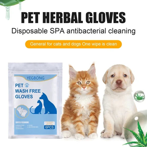 🎅Xmas Hot Sales - 50% OFF🔥 Pet Clean Wash Free Gloves