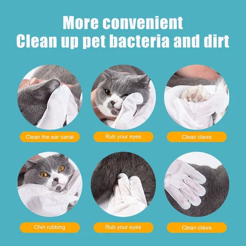 🎅Xmas Hot Sales - 50% OFF🔥 Pet Clean Wash Free Gloves