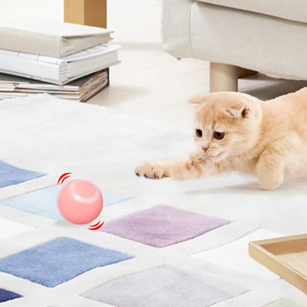 🎅Early Xmas Sales - 50% OFF🎄Smart Cat Toys Automatic Rolling Ball