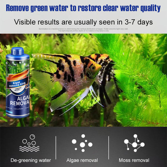 🔥Algae King🔥Crazy Aquatic Weed Algae Remover