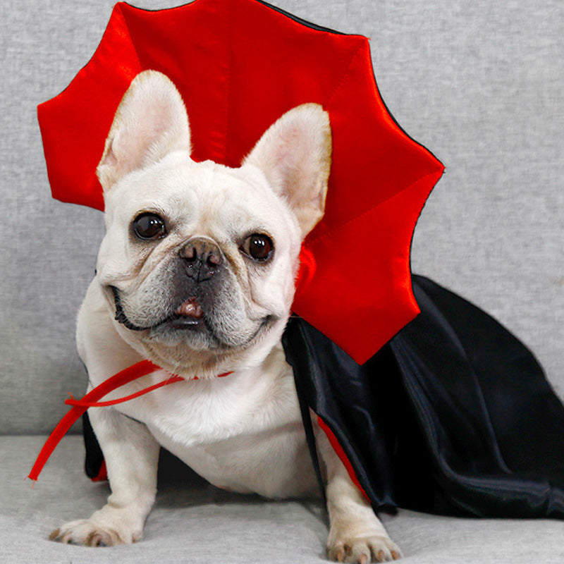 Halloween Creative Cape Pet Costume