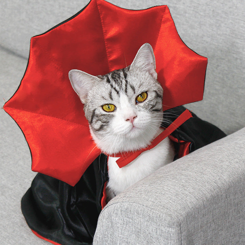 Halloween Creative Cape Pet Costume