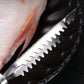 🔥Descuento del 50 % por tiempo limitado🔥Quitaescamas de pescado de acero inoxidable
