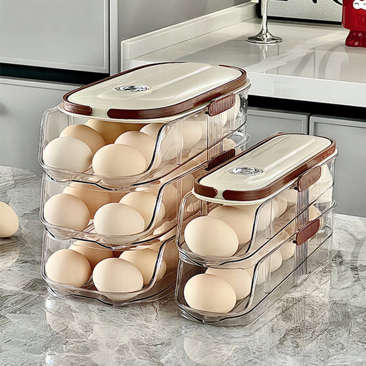 🔥Limited Time 50% OFF🔥Clear Kitchen Egg Organizer for Refrigerator Side Door