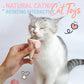🎅Early Xmas Sales - 50% OFF🎄Icecream Catnip Ball Interactive Cat Toys