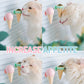 🎅Early Xmas Sales - 50% OFF🎄Icecream Catnip Ball Interactive Cat Toys