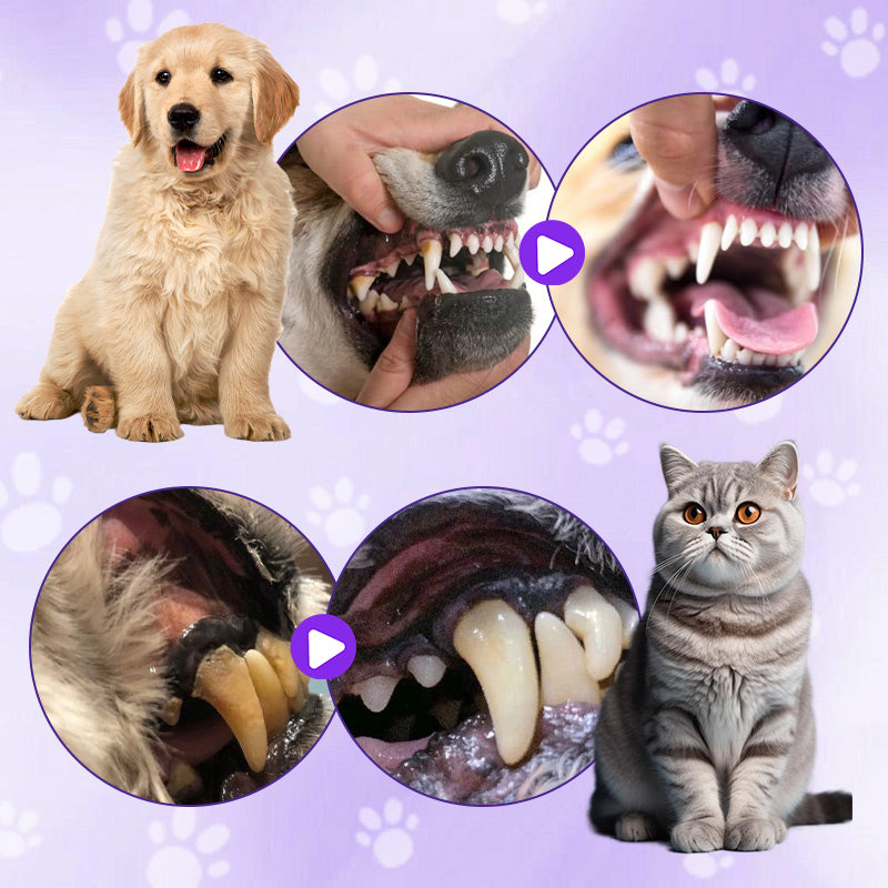 🐱🐶Pet Toothbrush Pen for Cleaning