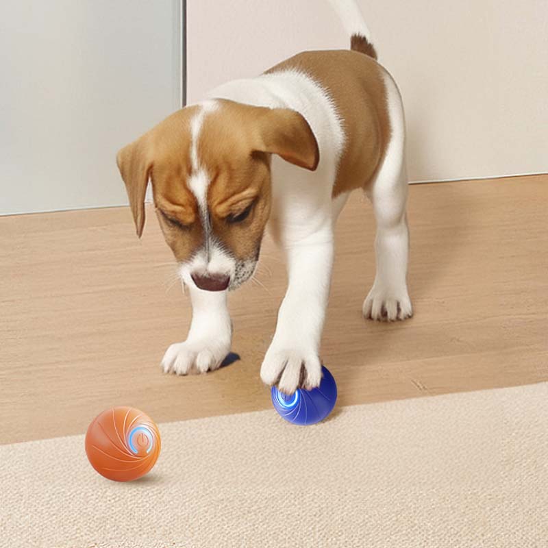 🎅Xmas Sales - 50% OFF🎄Rechargeable Pet Interactive Motion Ball with Lights