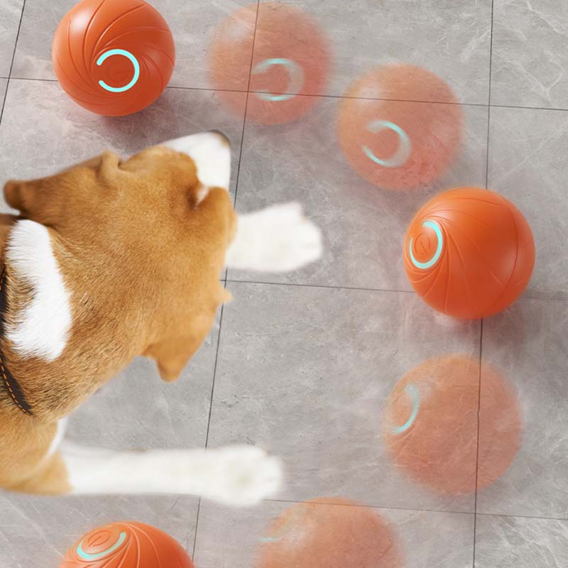 🎅Xmas Sales - 50% OFF🎄Rechargeable Pet Interactive Motion Ball with Lights