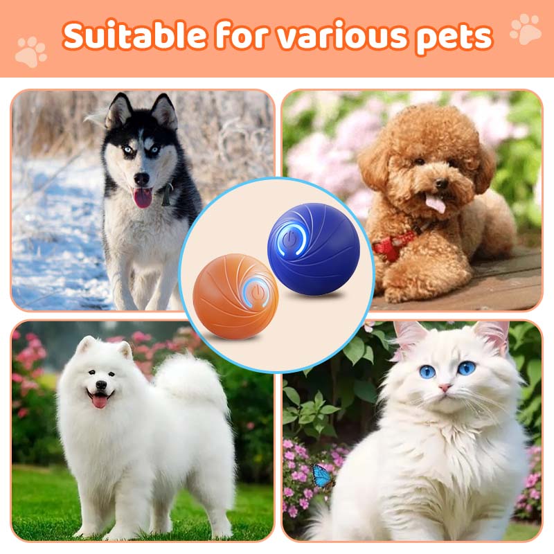 🎅Xmas Sales - 50% OFF🎄Rechargeable Pet Interactive Motion Ball with Lights