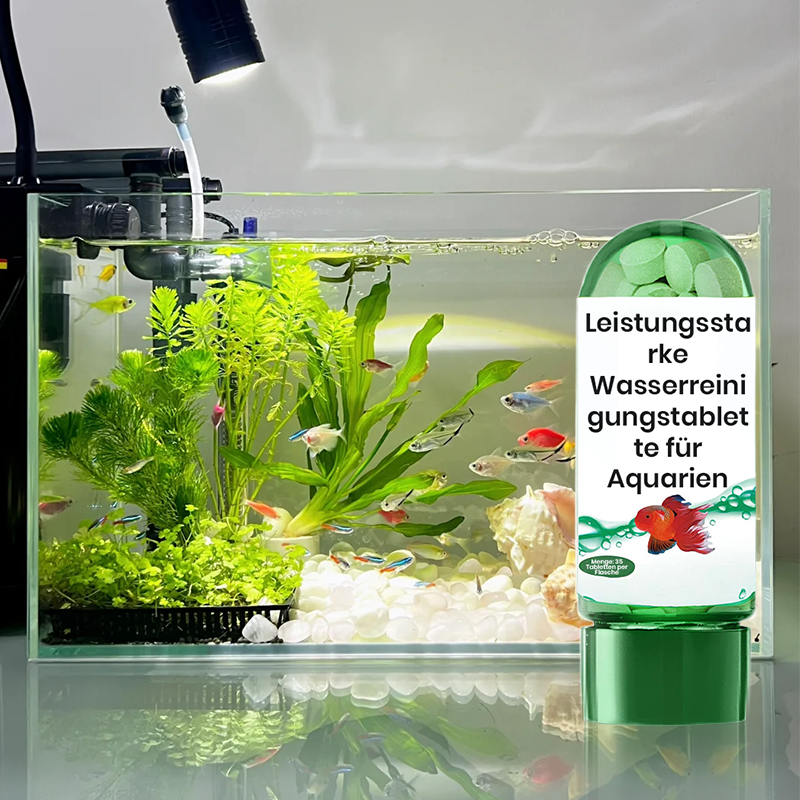 🔥BUY 1 GET 1 FREE🔥Powerful Aquarium Water Purification Tablet