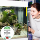 🔥BUY 1 GET 1 FREE🔥Powerful Aquarium Water Purification Tablet